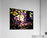 juuli algus 2016 008 (2)_LI Acrylic Print