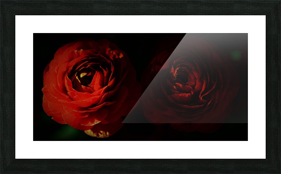 paint it red 3 Picture Frame print