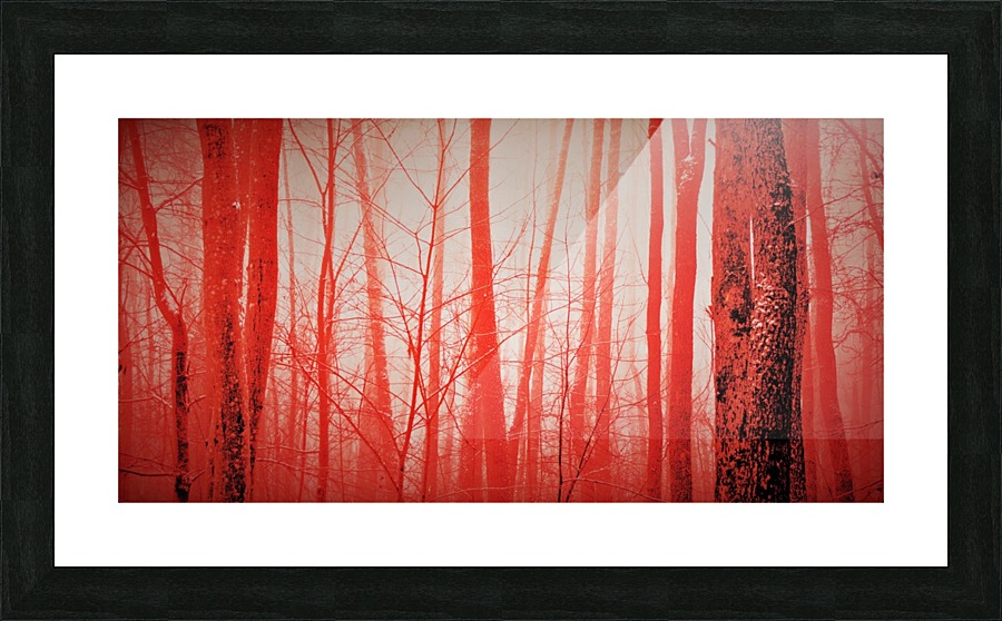 paint it red 4 Picture Frame print