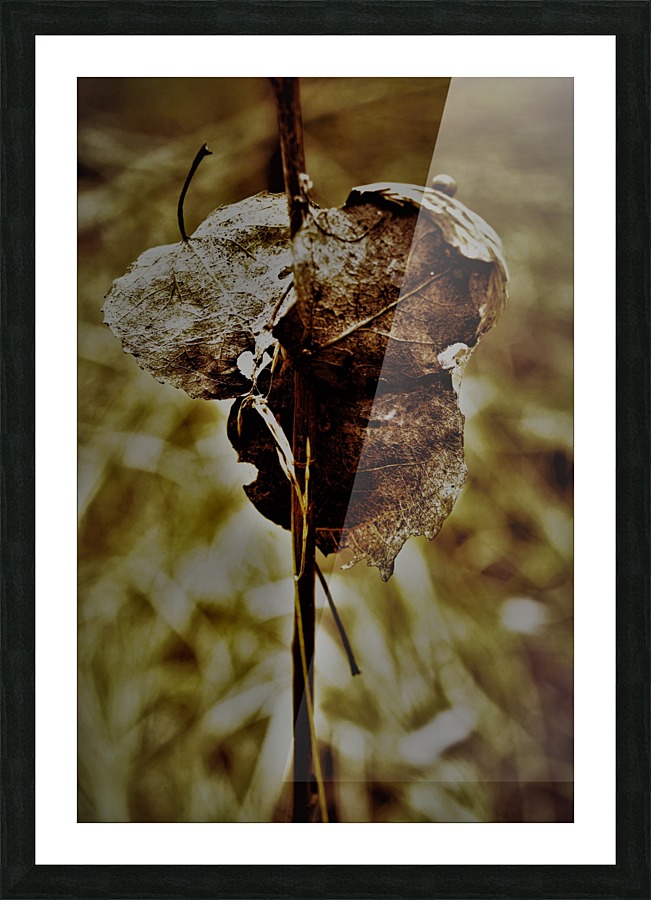 pyhad 051 2 Picture Frame print