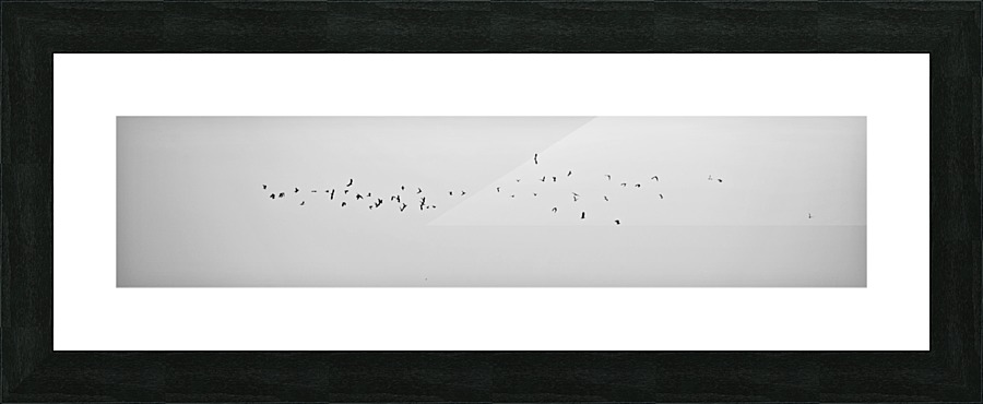 flyin away.... Picture Frame print