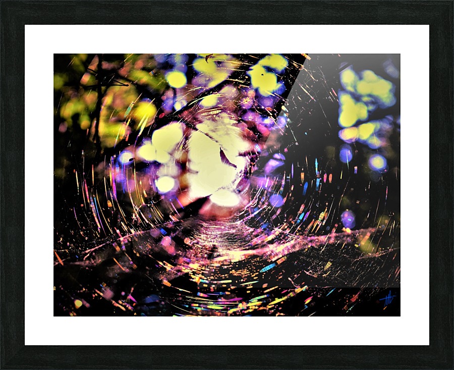  Fine Art print