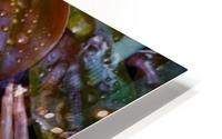 pondlife HD Metal print