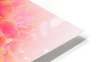 paint it pink 2 HD Metal print