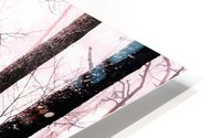 misty trees HD Metal print