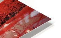 paint it red 4 HD Metal print