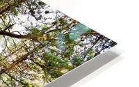 cranberry marsh HD Metal print