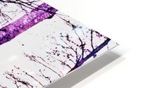 moody trees HD Metal print