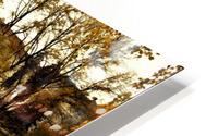 Tartu with reflection HD Metal print
