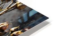 myttamine 065 HD Metal print