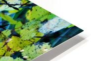 season HD Metal print
