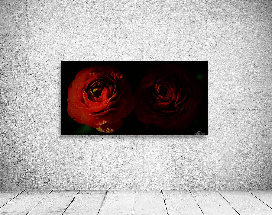 paint it red 3 Wall Preview