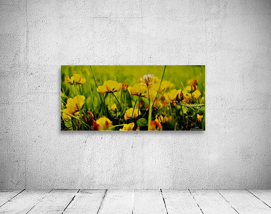 in the grass  Wall Preview