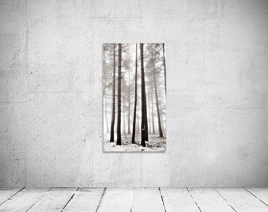 standing tall  Wall Preview