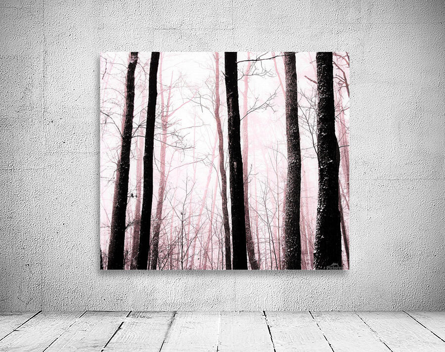 misty trees Wall Preview