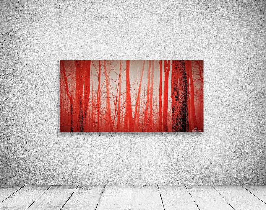 paint it red 4 Wall Preview