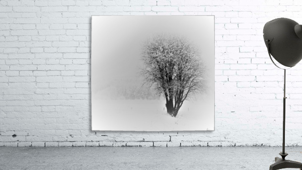 fresh snow Wall Preview