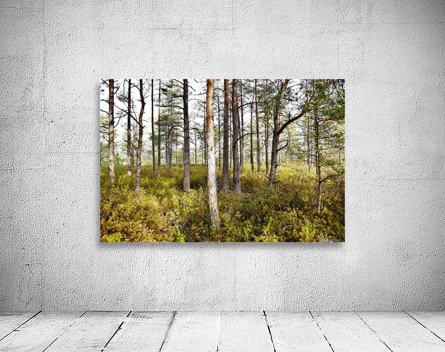 cranberry marsh Wall Preview
