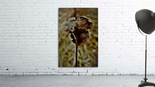 pyhad 051 2 Wall Preview