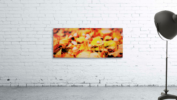 mushrooms Wall Preview