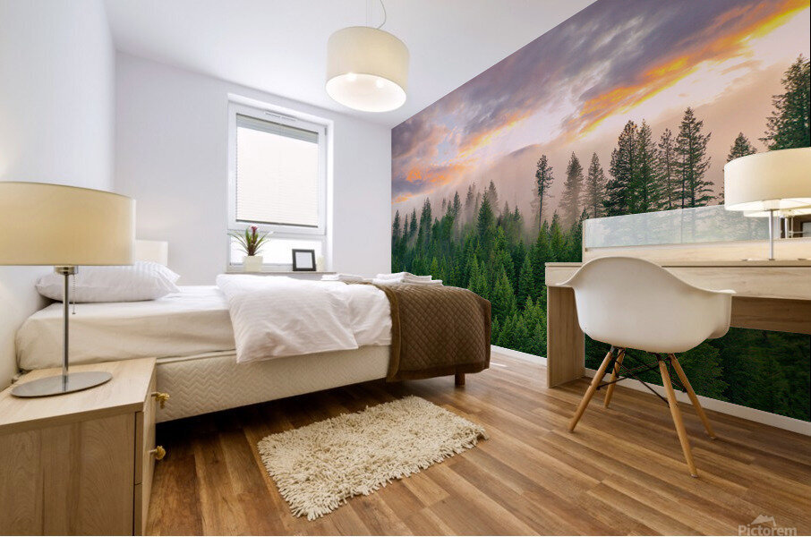 Foggy Forest Mural print