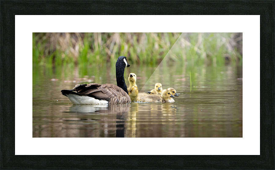 Family Fun Picture Frame print