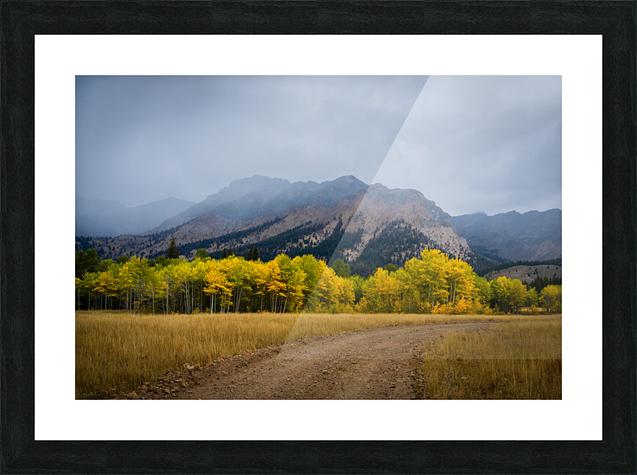Dirt Road Picture Frame print