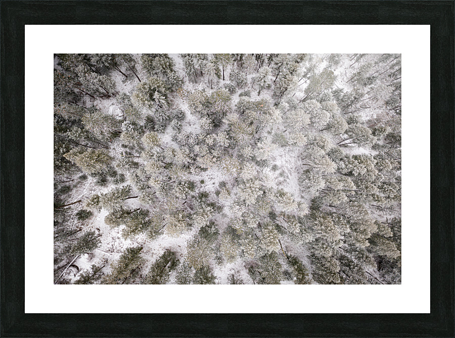 Straight Down Picture Frame print