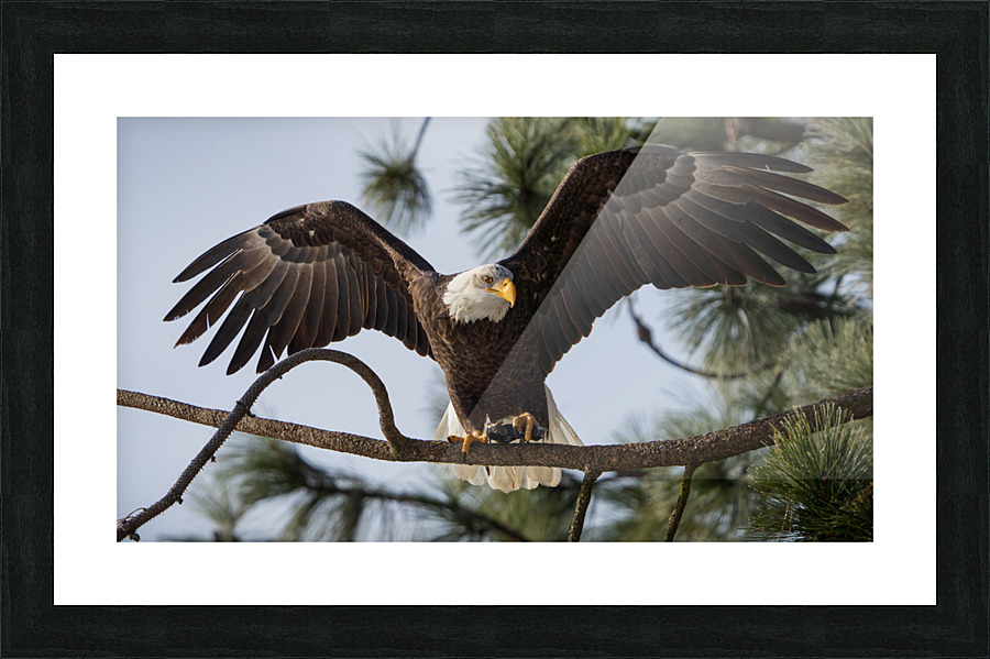 Smooth Landing Picture Frame print