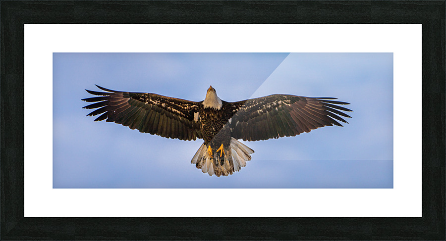 High Above Picture Frame print