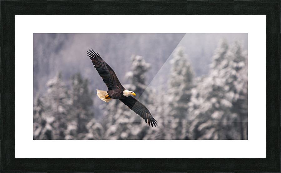 Winter Morning Picture Frame print