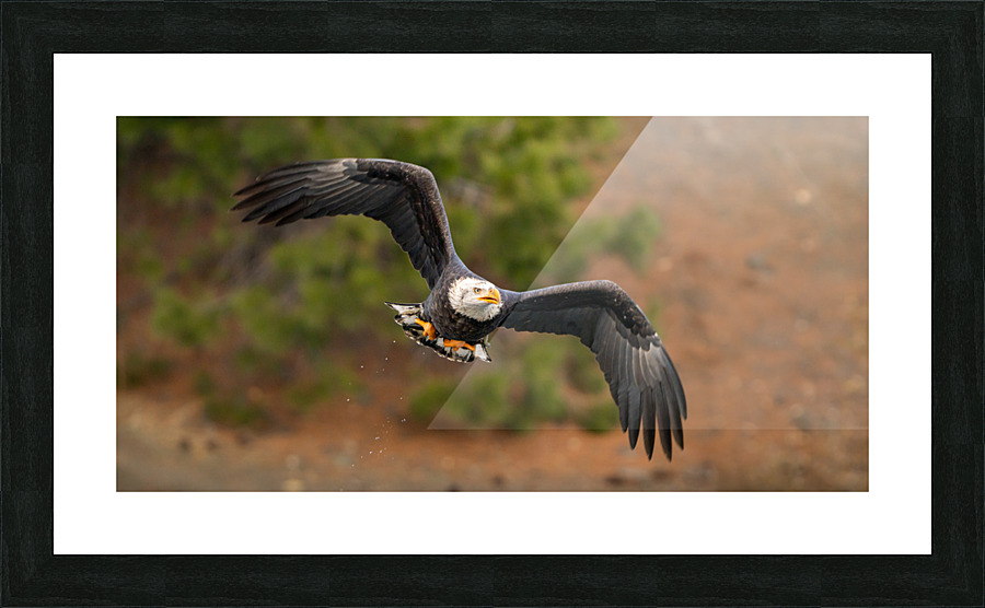 Fresh Catch Picture Frame print