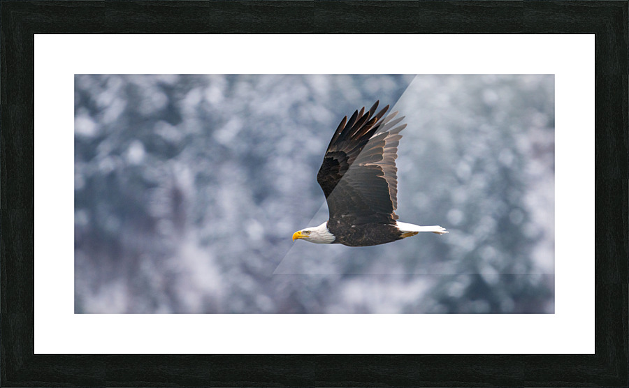 Cruisin Around Picture Frame print