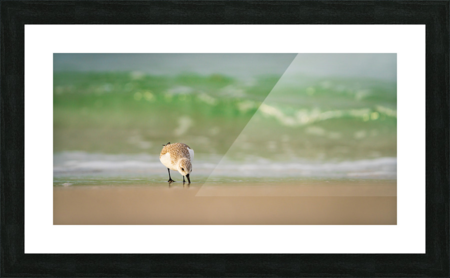 Surfs Up Picture Frame print