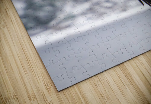 Show Off Dan Smith puzzle