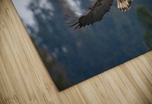 Early Bird Dan Smith puzzle