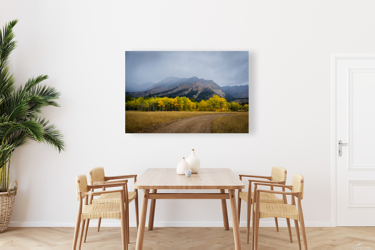 Dirt Road Reproduction