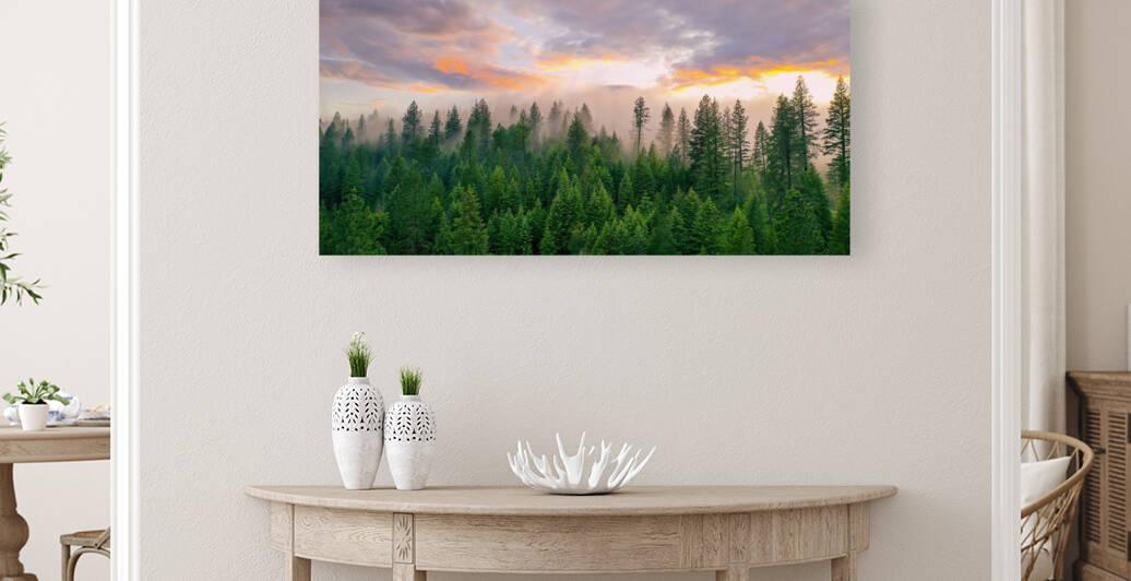 Foggy Forest Reproduction