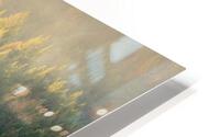 Through the Clouds HD Metal print