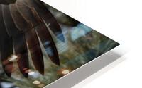 Smooth Landing HD Metal print