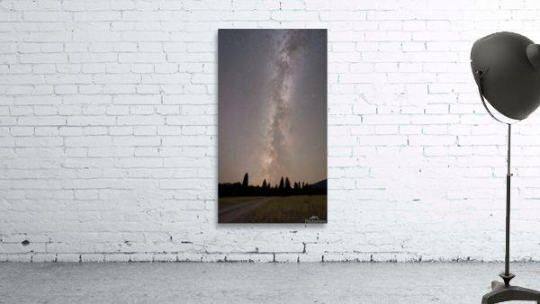 Star Gazer Wall Preview