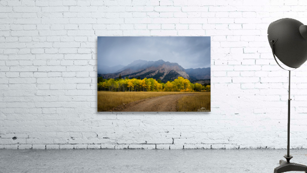 Dirt Road Wall Preview