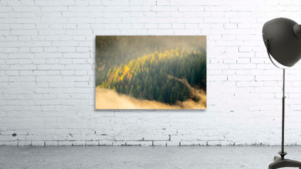 Through the Clouds Wall Preview