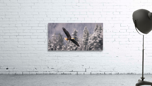 Winter Morning Wall Preview