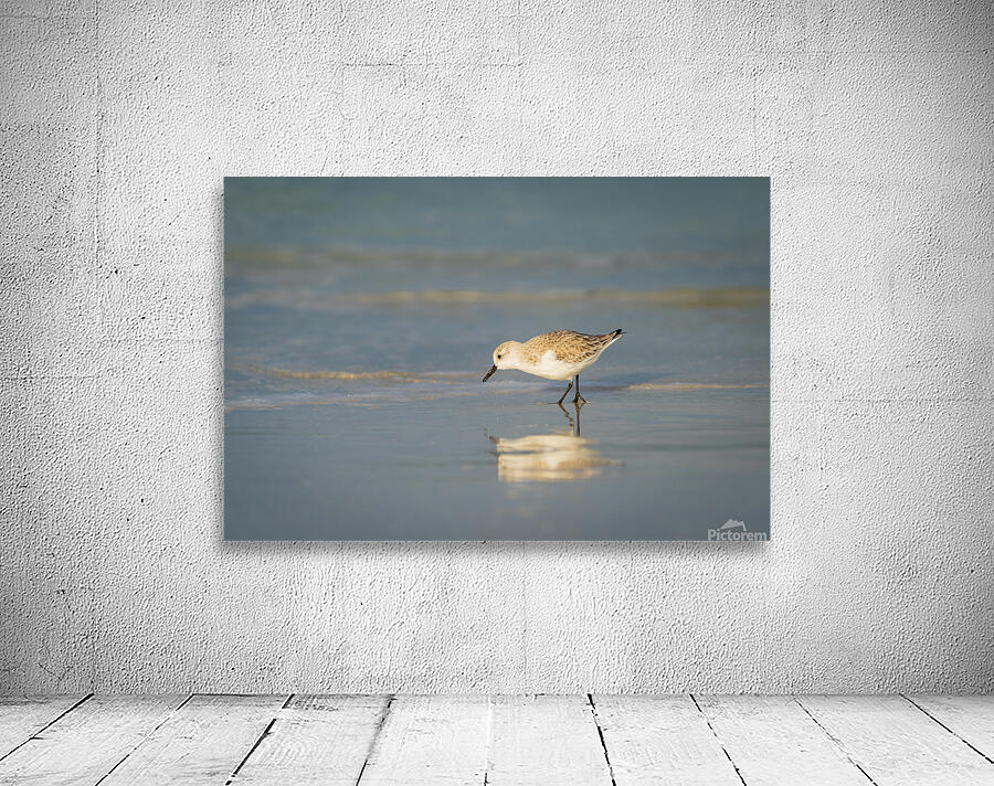 Self Reflection Wall Preview