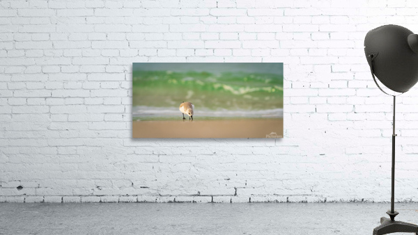 Surfs Up Wall Preview