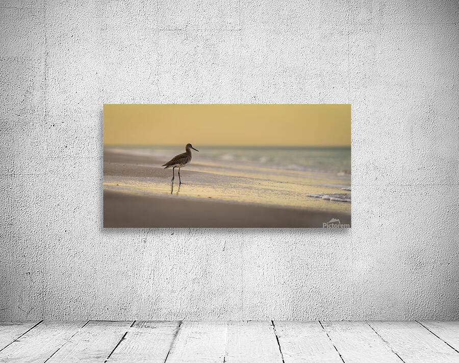 Contemplation Wall Preview