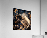 Lost Feather Acrylic Print