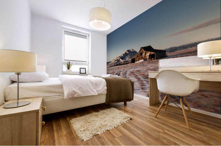 Frozen Barn Mural print
