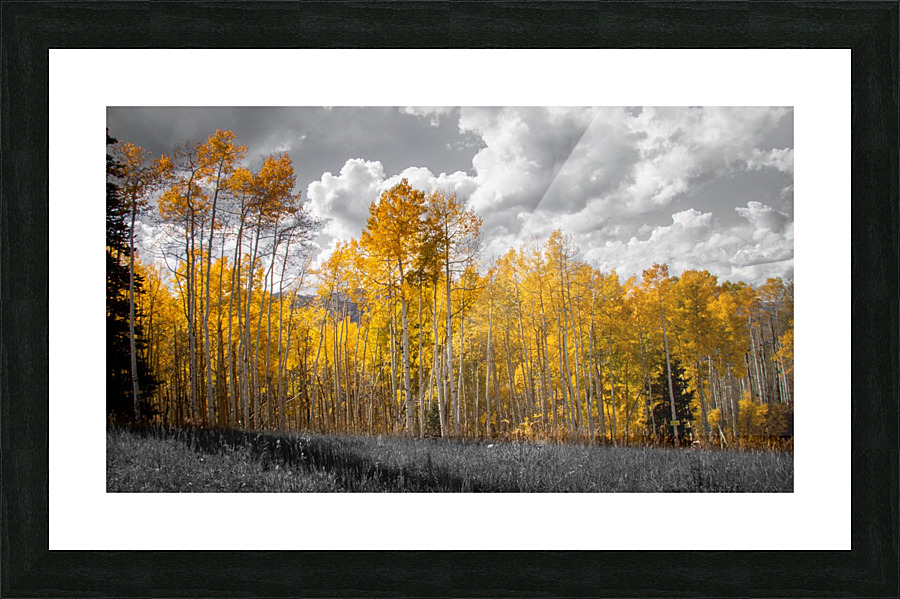 Mountain Gold Picture Frame print